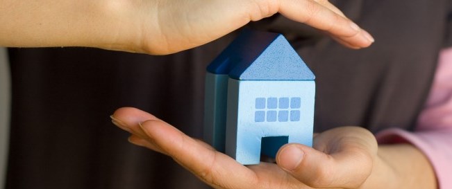 holding mini house