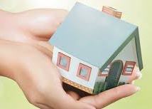 mini house